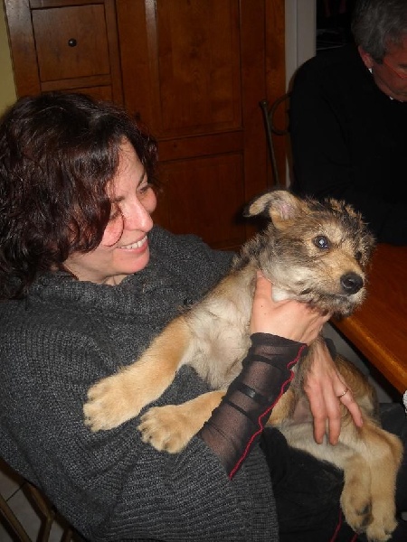 CHIOTS Heïdi + Grizzly:8ème et 9ème semaine